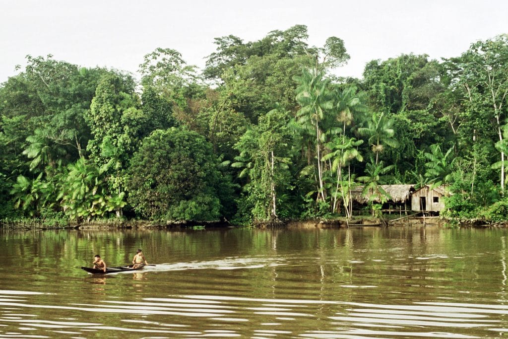 Los Bosques del Amazonas